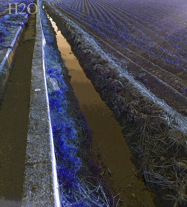 imagen 26. javier seco